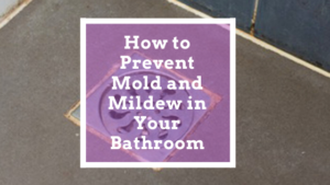 How to Prevent Mold and Mildew in Your Bathroom