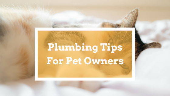 plumbing tips pet owners