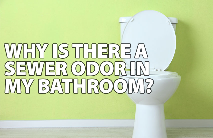 Why Is There A Sewer Odor In My Bathroom Ben Franklin Bay Area - Causes Of Bathroom Odors
