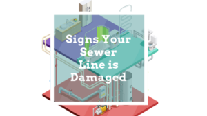 Signs Your Sewer Line is Damaged