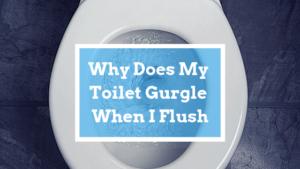 toilet gurgle flush
