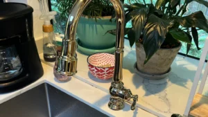 Faucet Repair in Santa Rosa, CA