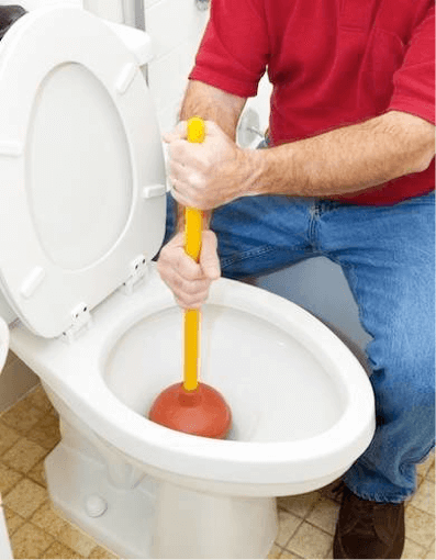 clogged toilet drain